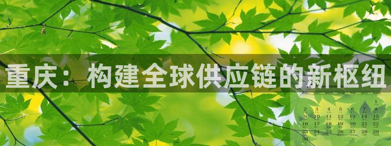 尊龙精品棋牌