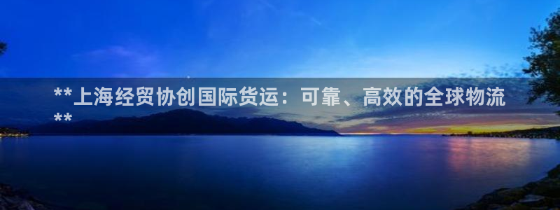 尊龙凯时贴吧：**上海经贸协创国际货运：可靠、高效的全球