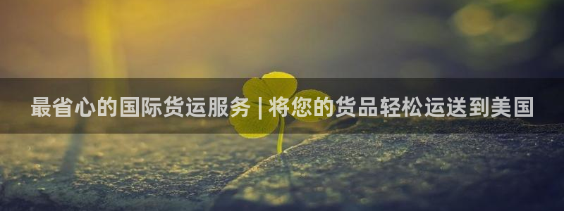 尊龙人生就是博用现金玩一下：最省心的国际货运服务 | 将