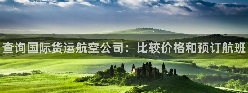 尊龙凯时白家乐Abb下载：查询国际货运航空公司：比较价格