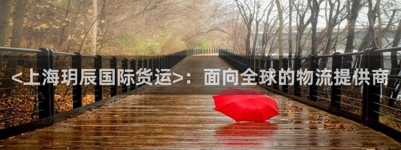 尊龙凯时推荐人：<上海玥辰国际货运>：面向全球的物流提供