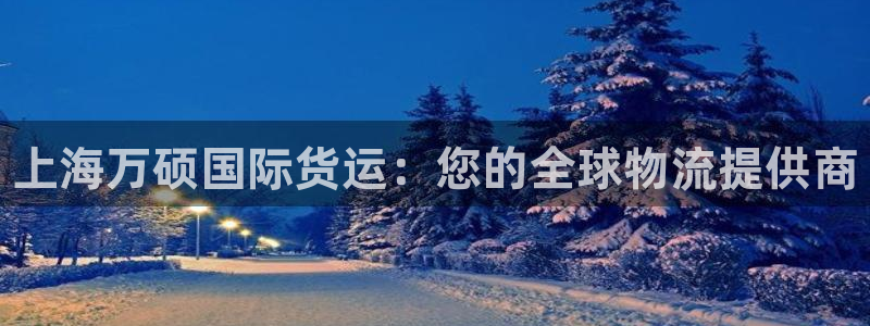尊龙光学怎么样：上海万硕国际货运：您的全球物流提供商