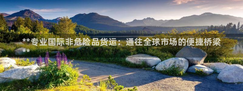 尊龙凯时人生就是博官网登录：**专业国际非危险品货运：通