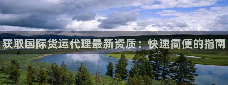 尊龙凯时官方网站下载：获取国际货运代理最新资质：快速简便