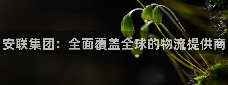 尊龙人生就是搏