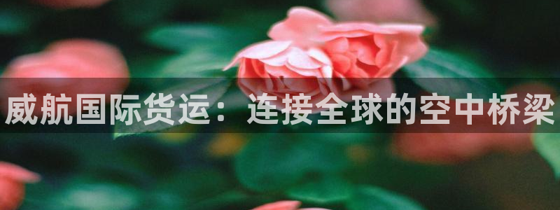 尊龙/人生就是博