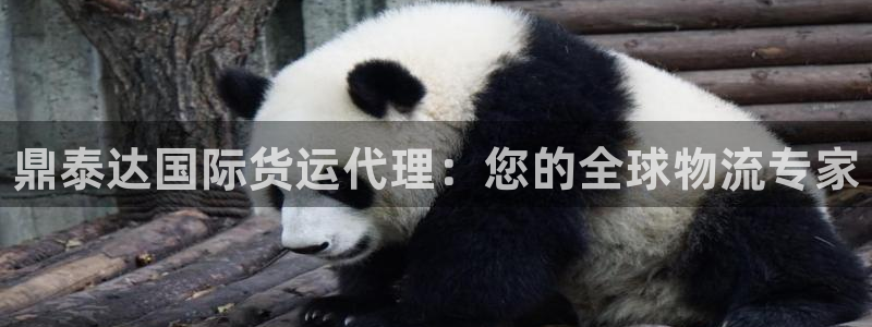 尊龙凯时人生就是搏官方网站