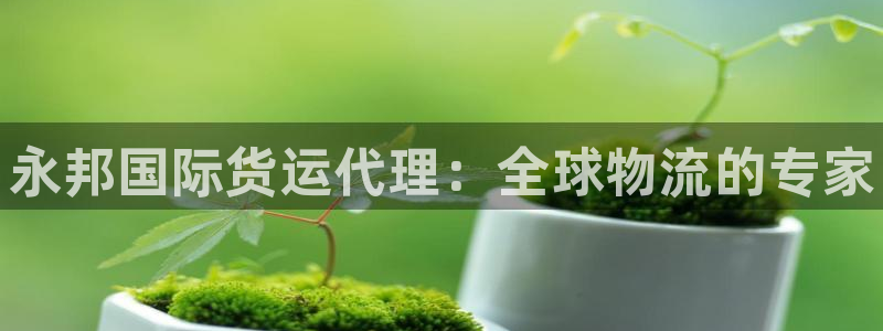 尊龙凯时人生就是搏官