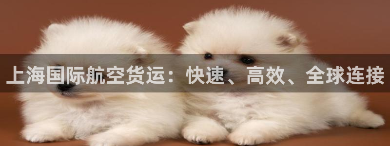 尊龙凯时导航菜单首页：上海国际航空货运：快速、高效、全球