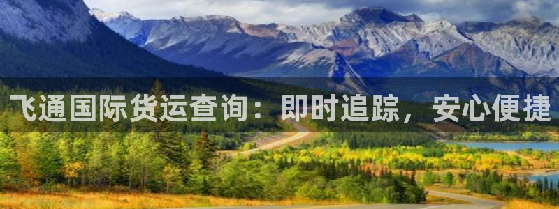 尊龙手机版：飞通国际货运查询：即时追踪，安心便捷