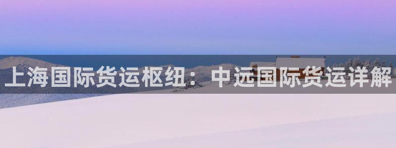 尊龙人生就是博登录首页：上海国际货运枢纽：中远国际货运详