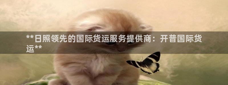 尊龙凯时公司官网：**日照领先的国际货运服务提供商：开普