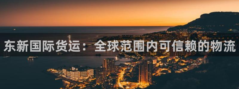 尊龙凯时人生就是博官网登录：东新国际货运：全球范围内可信