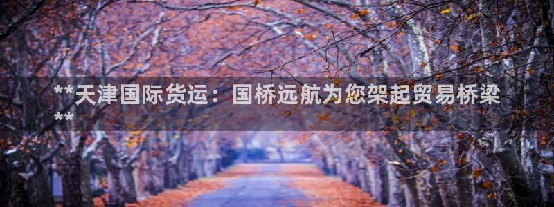 尊龙体育怎么样：**天津国际货运：国桥远航为您架起贸易桥