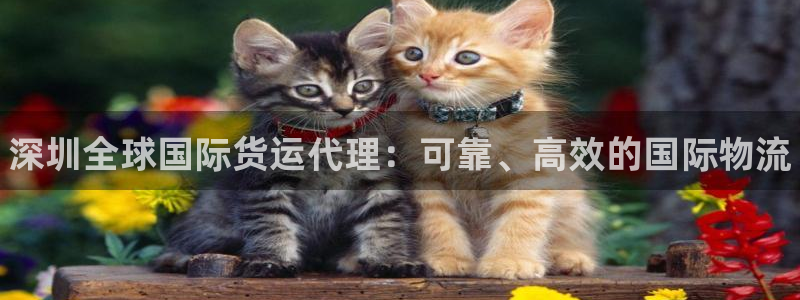 尊龙人品怎么样：深圳全球国际货运代理：可靠、高效的国际物