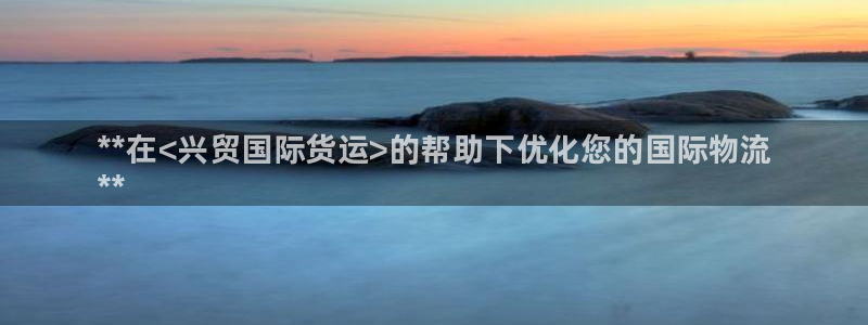 尊龙旗舰厅app：**在<兴贸国际货运>的帮助下优化您的
