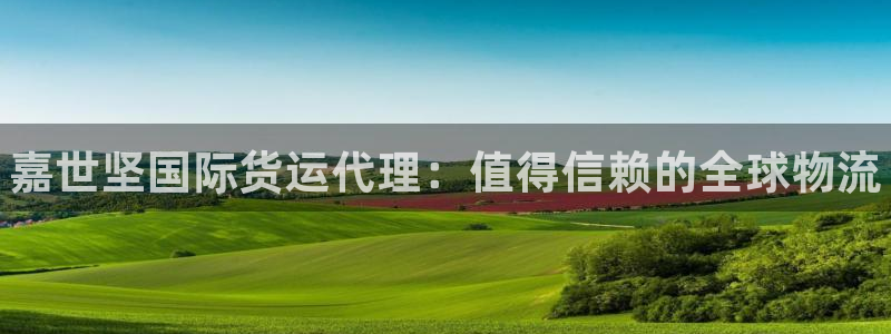 尊龙旗舰厅app：嘉世坚国际货运代理：值得信赖的全球物流