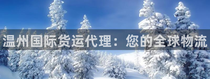 尊龙手机版下载：温州国际货运代理：您的全球物流