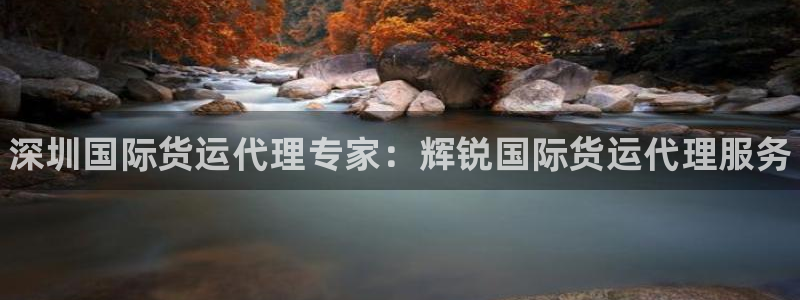 尊龙凯时提不了款：深圳国际货运代理专家：辉锐国际货运代理